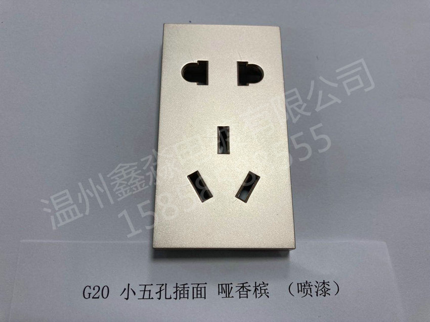 小五孔插面 哑香槟